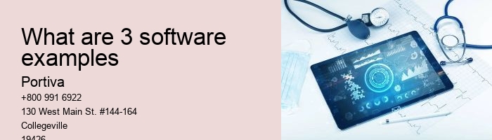 What are 3 software examples
