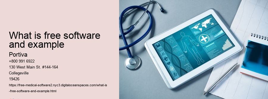 What is free software and example